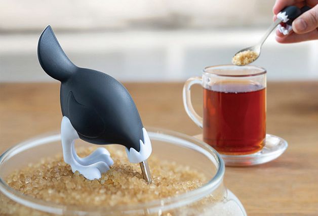 a soup spoon，ostrich，