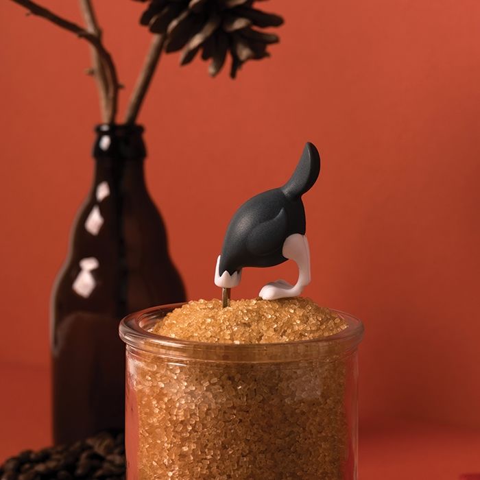 a soup spoon，ostrich，