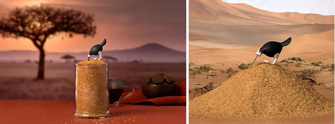 a soup spoon，ostrich，