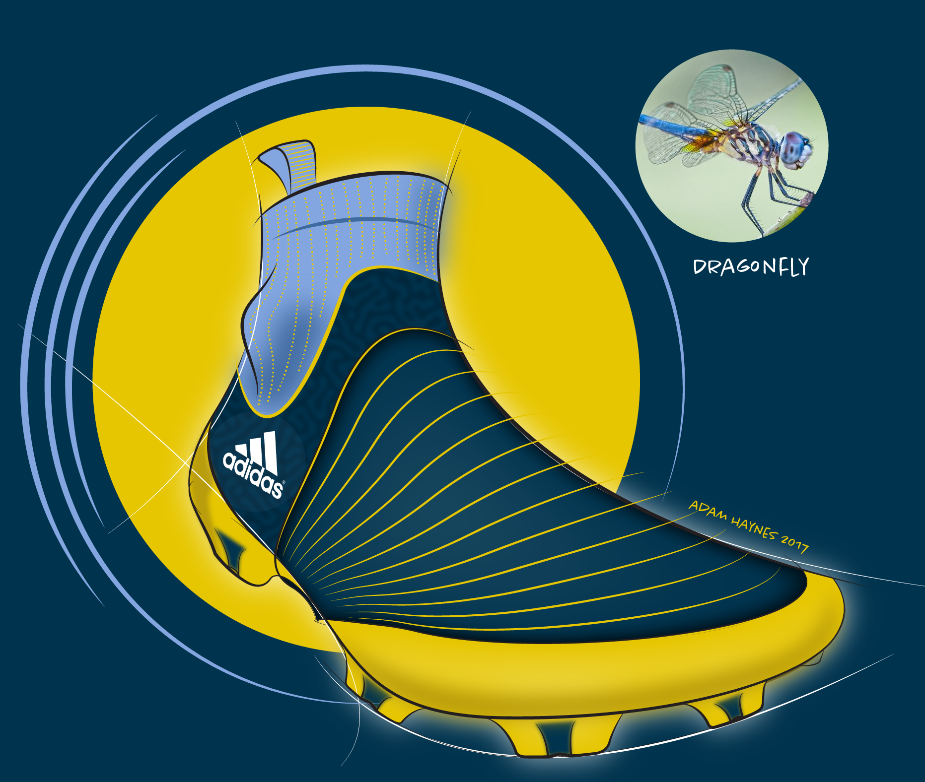 Sketch，Hand drawn，