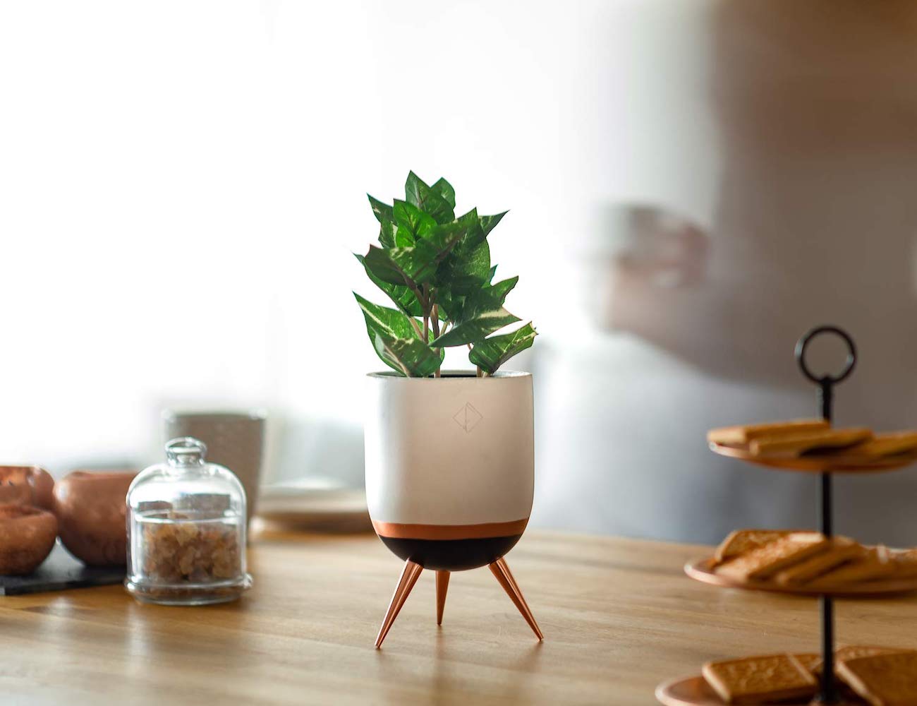 Household products，ceramics，Flowerpot，PERNER，