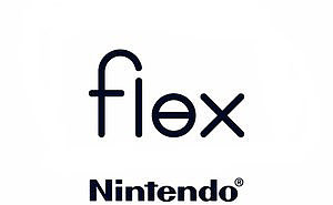 游戏机，便携式，Flex，