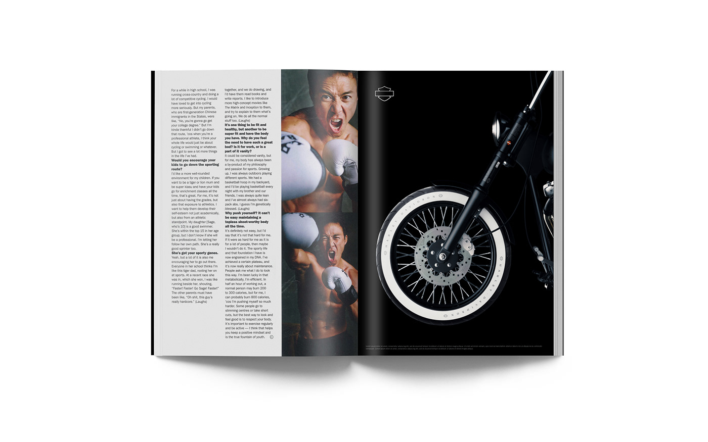 vehicle，motorcycle，Harley Davidson，Harley Davidson，