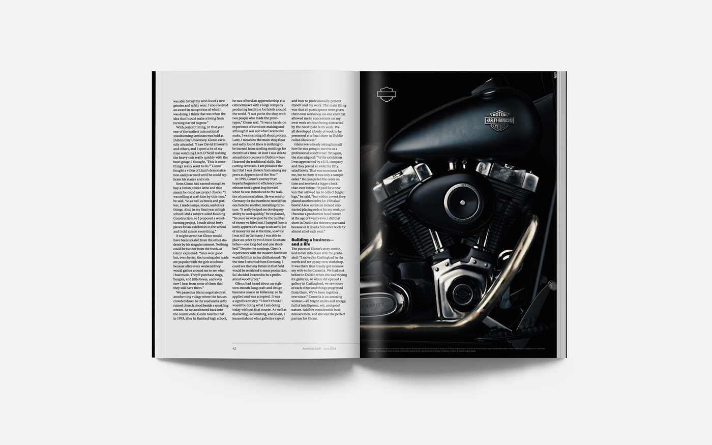 vehicle，motorcycle，Harley Davidson，Harley Davidson，