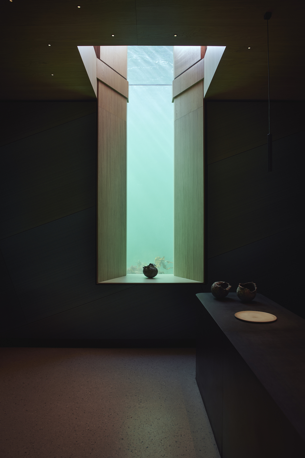 Underwater，restaurant，Norway，Snow cap，