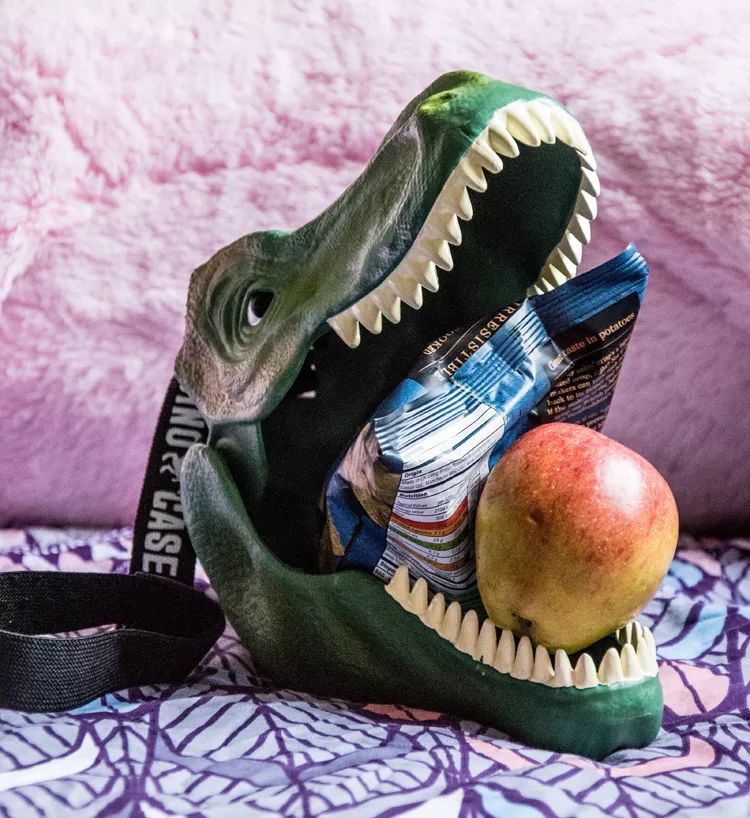 handbag，Bento bag，