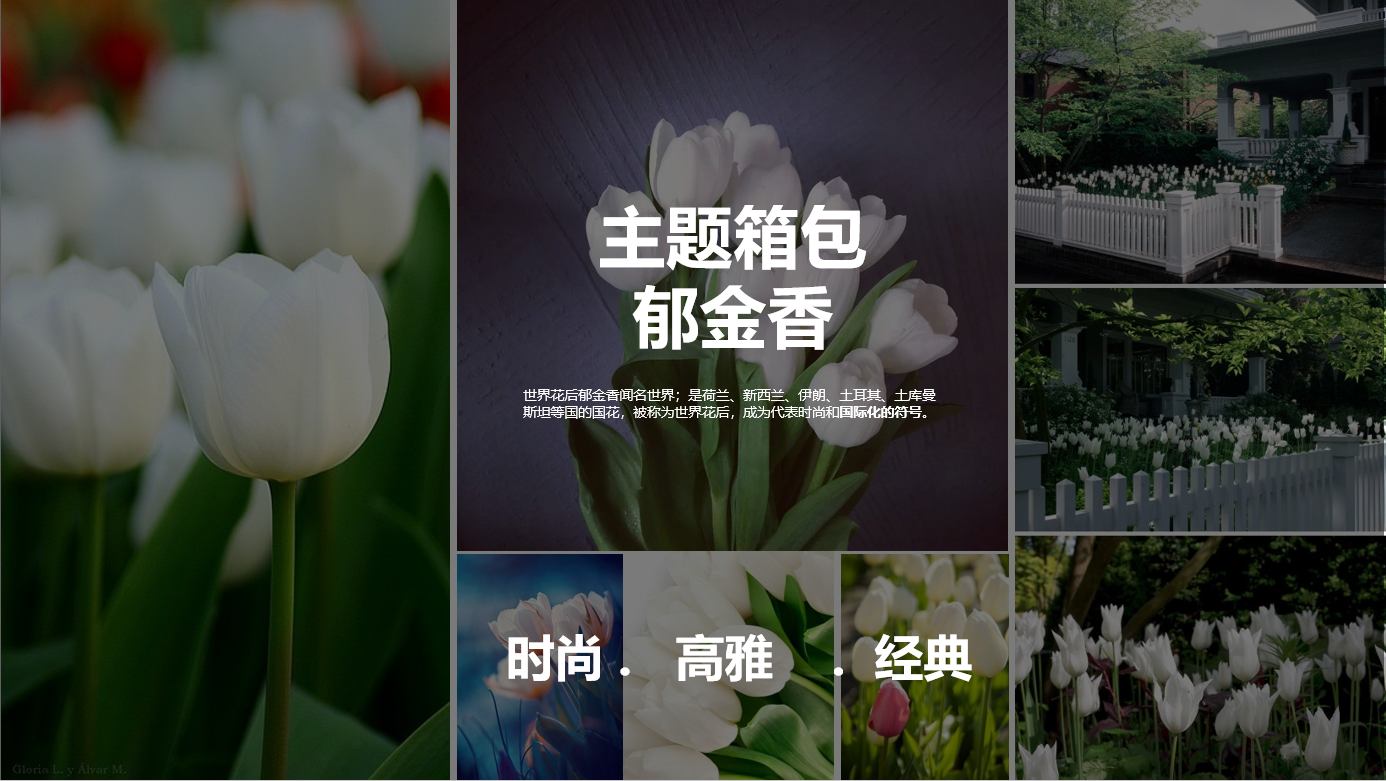 2018 international CMF Design Award，