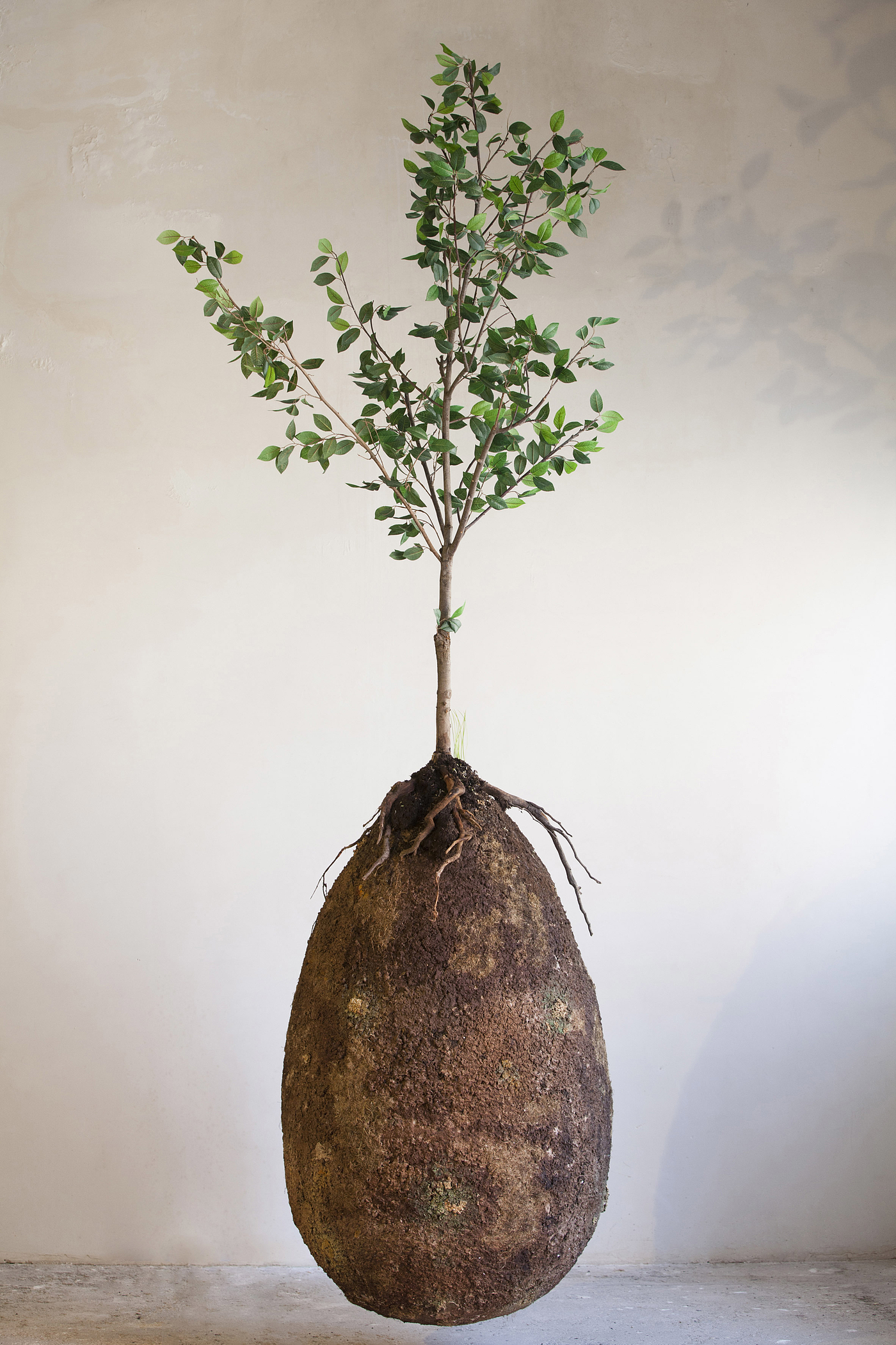 product design，originality，environment protection，cemetery，