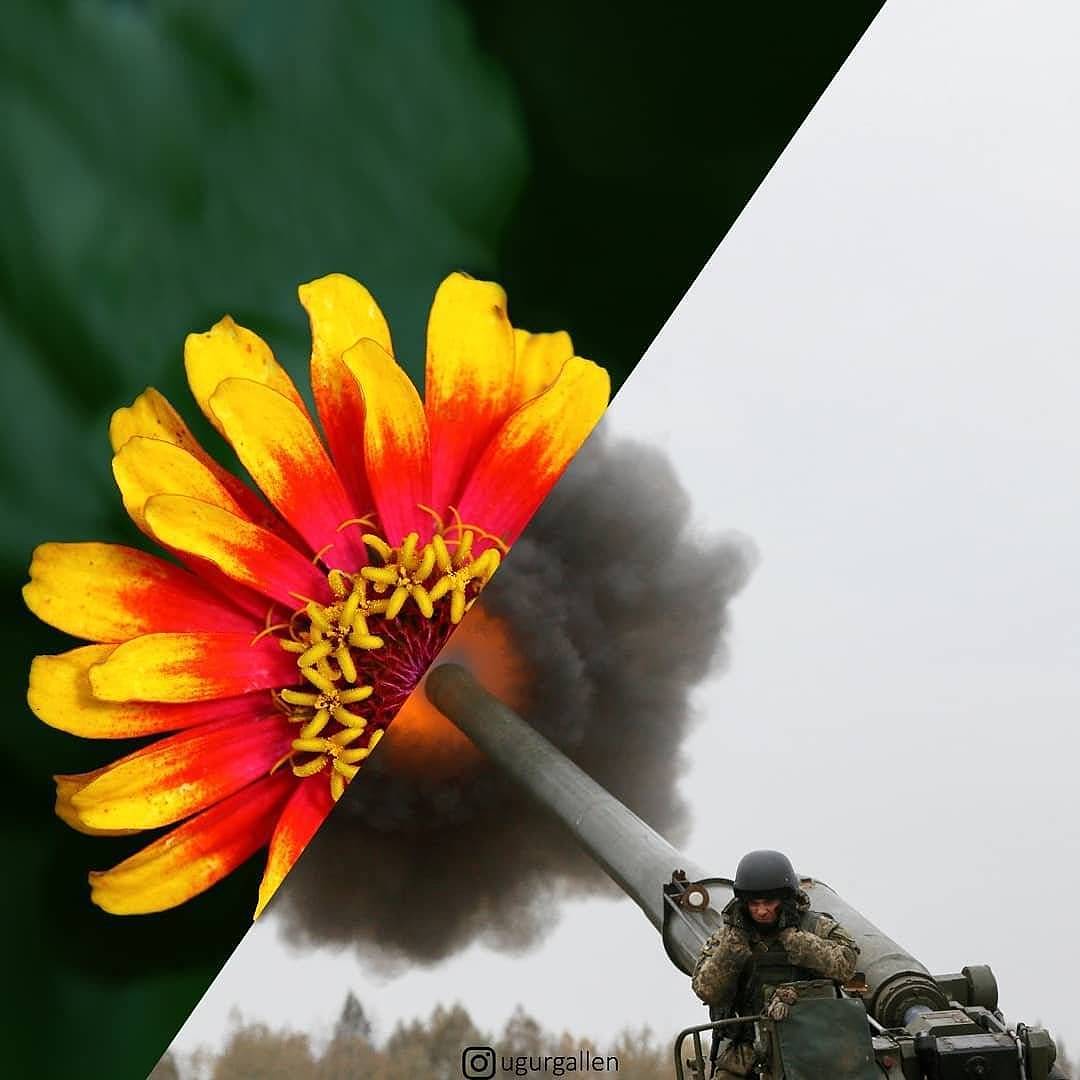 Photography，life，contrast，Collage，Warfare，suffering，