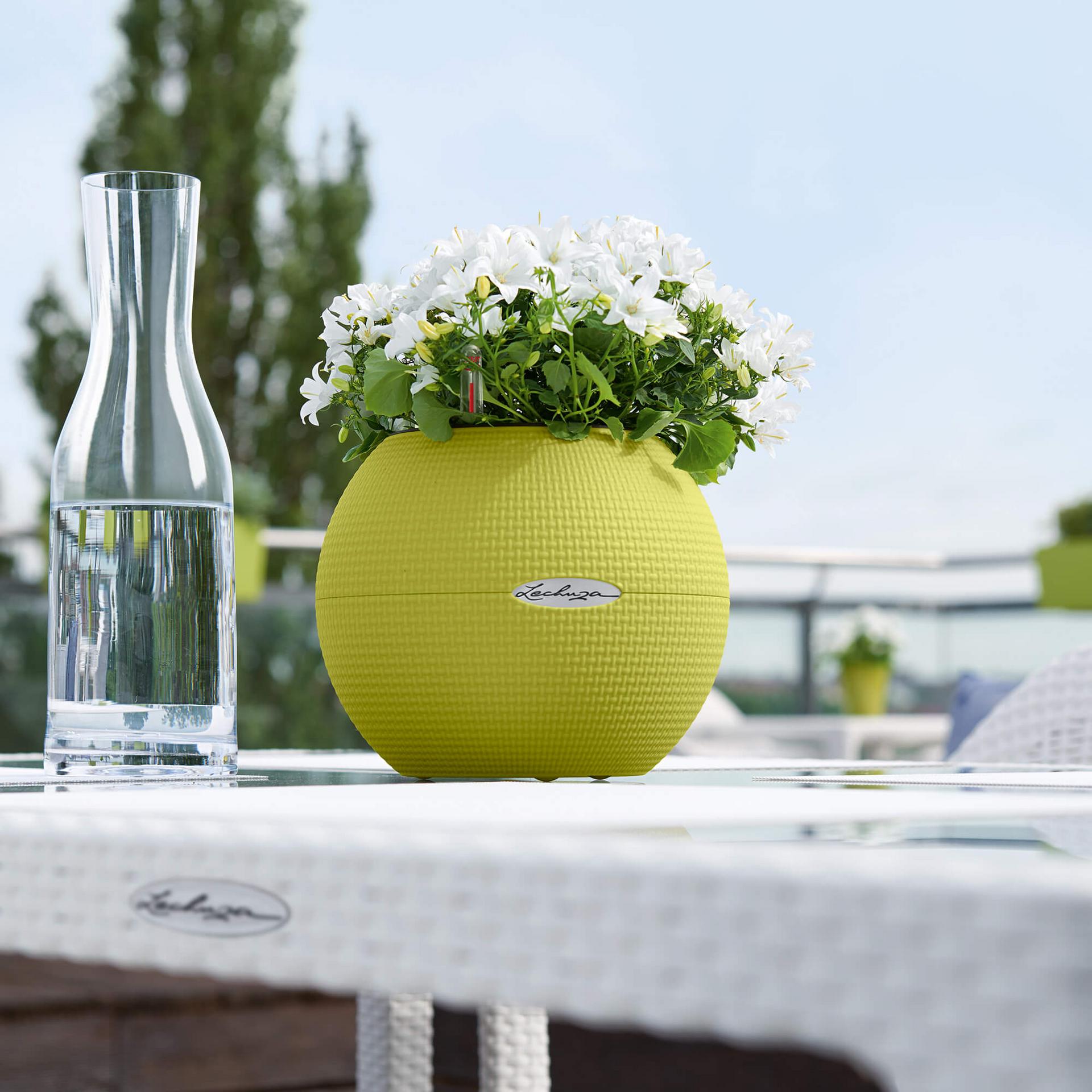 product design，industrial design，Grass green，white，grey，spherical，Flowerpot，