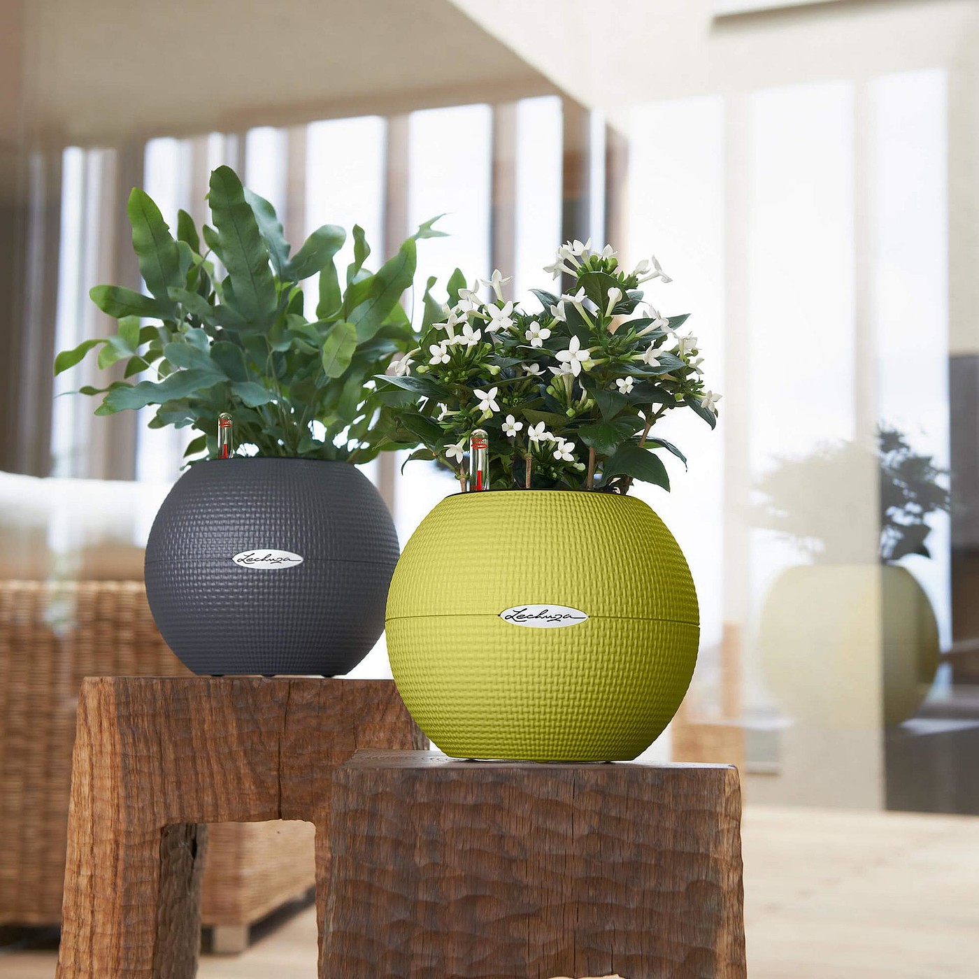 product design，industrial design，Grass green，white，grey，spherical，Flowerpot，