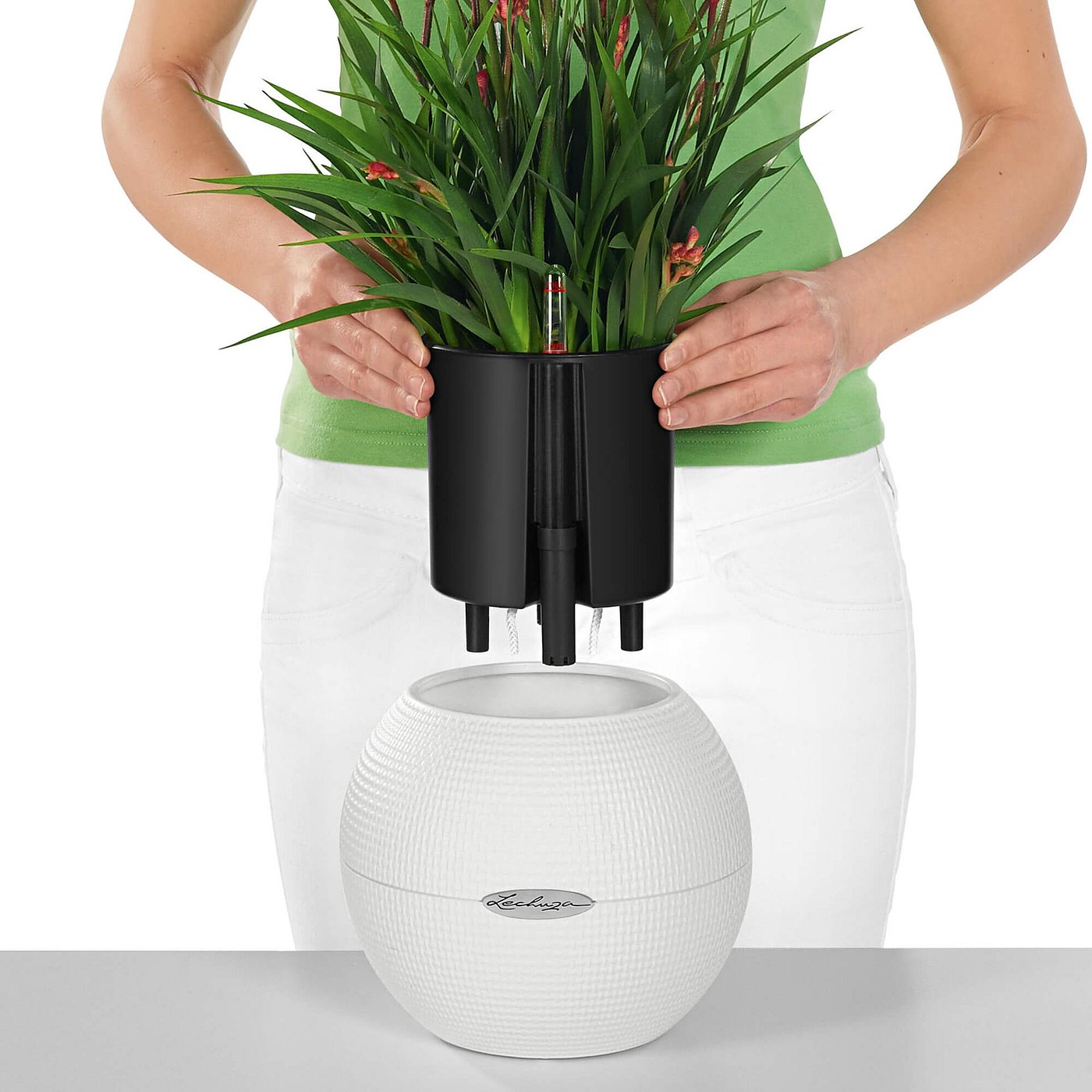 product design，industrial design，Grass green，white，grey，spherical，Flowerpot，