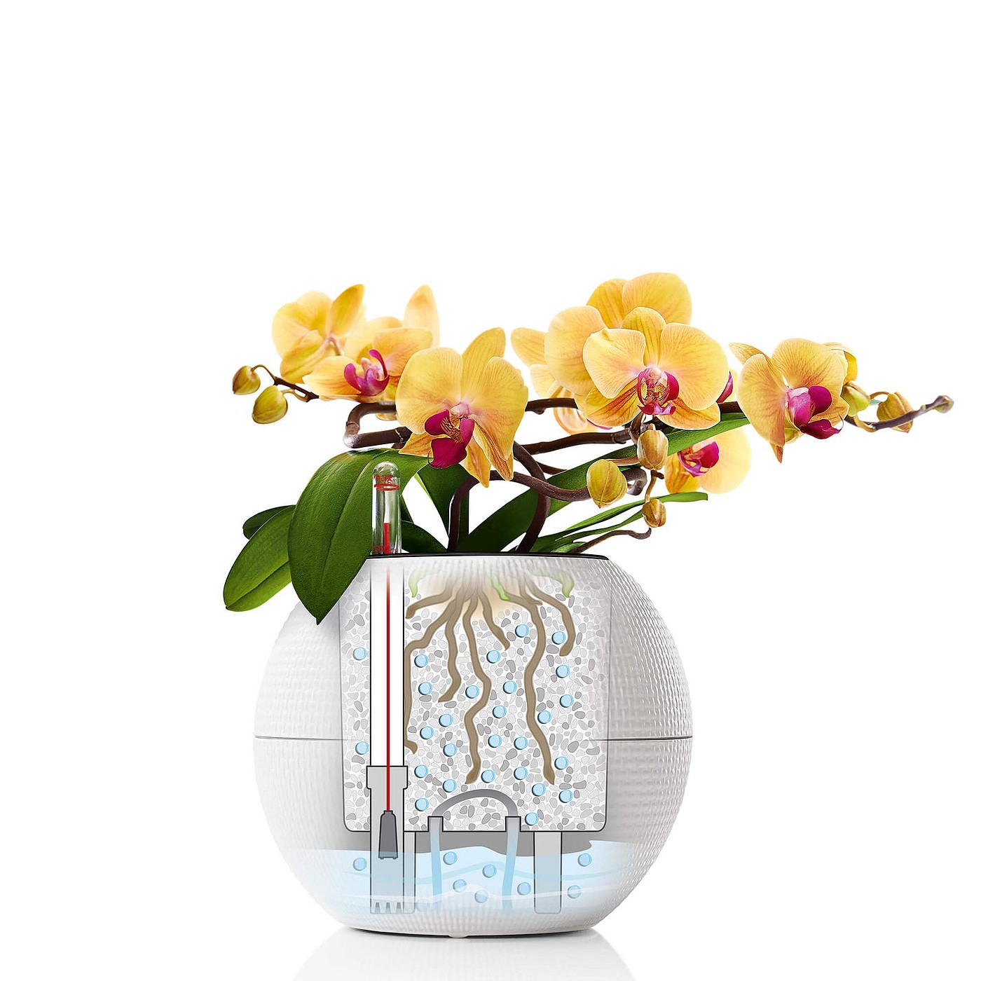 product design，industrial design，Grass green，white，grey，spherical，Flowerpot，