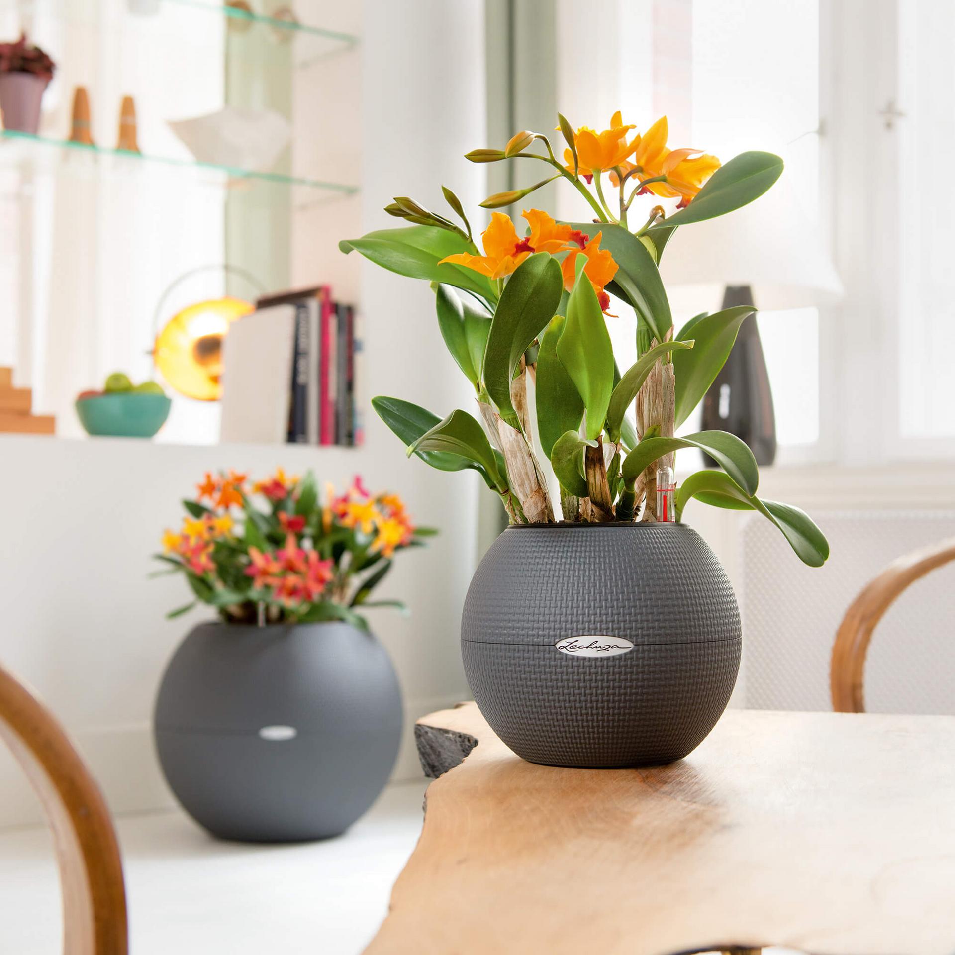 product design，industrial design，Grass green，white，grey，spherical，Flowerpot，