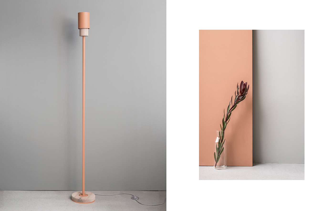 product design，originality，Home Furnishing，CORAL Inspiration，