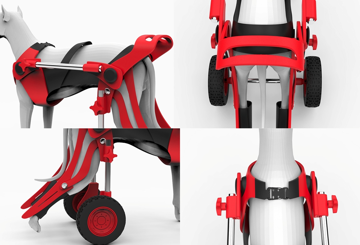 wheelchair，Mr Michał Szczególski，Pets，Bracket，