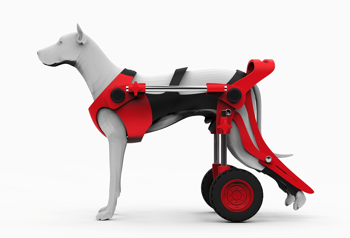 wheelchair，Mr Michał Szczególski，Pets，Bracket，