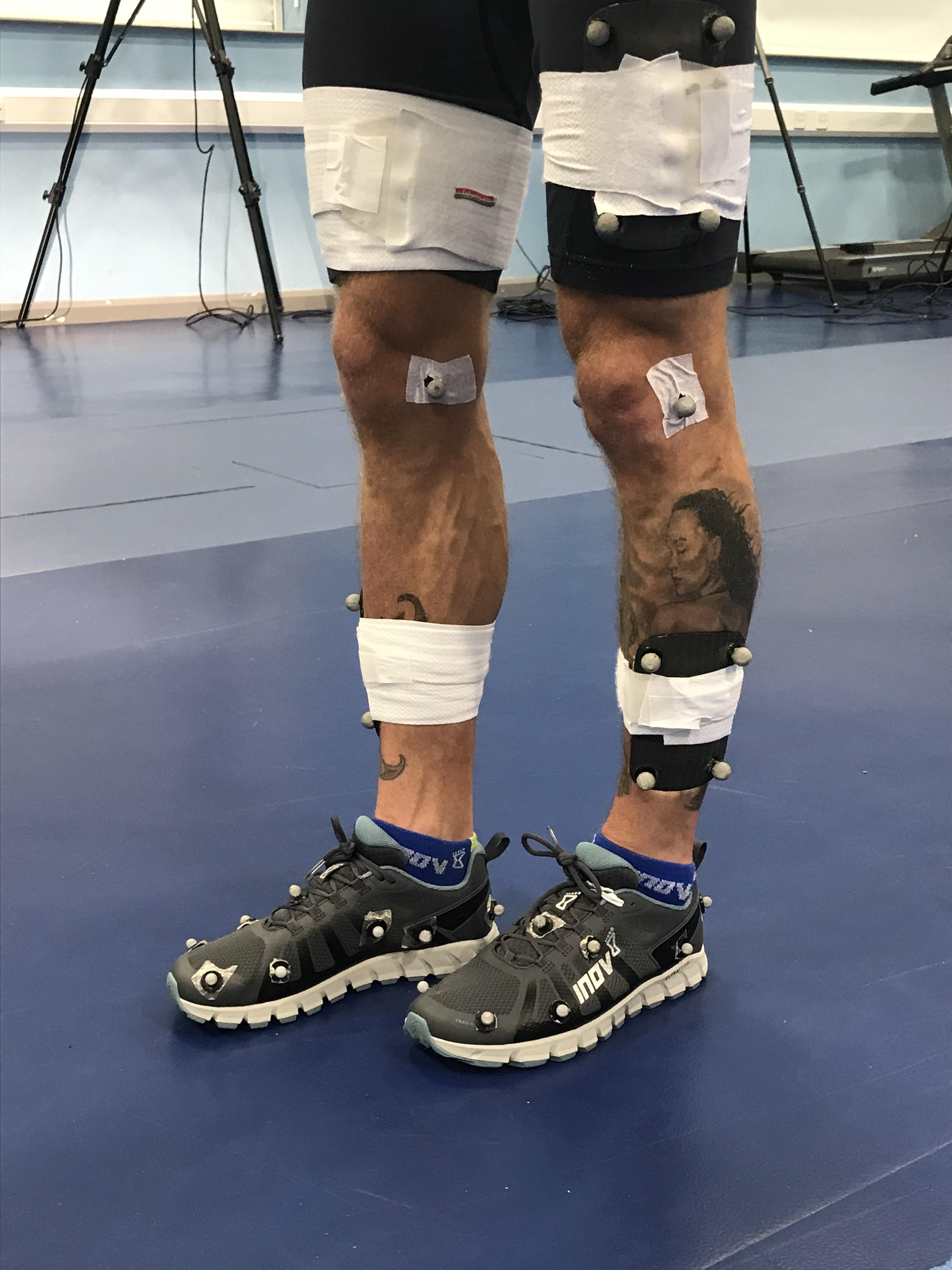 shoes，Terra Ultra G，sneakers，Outdoor shoes，