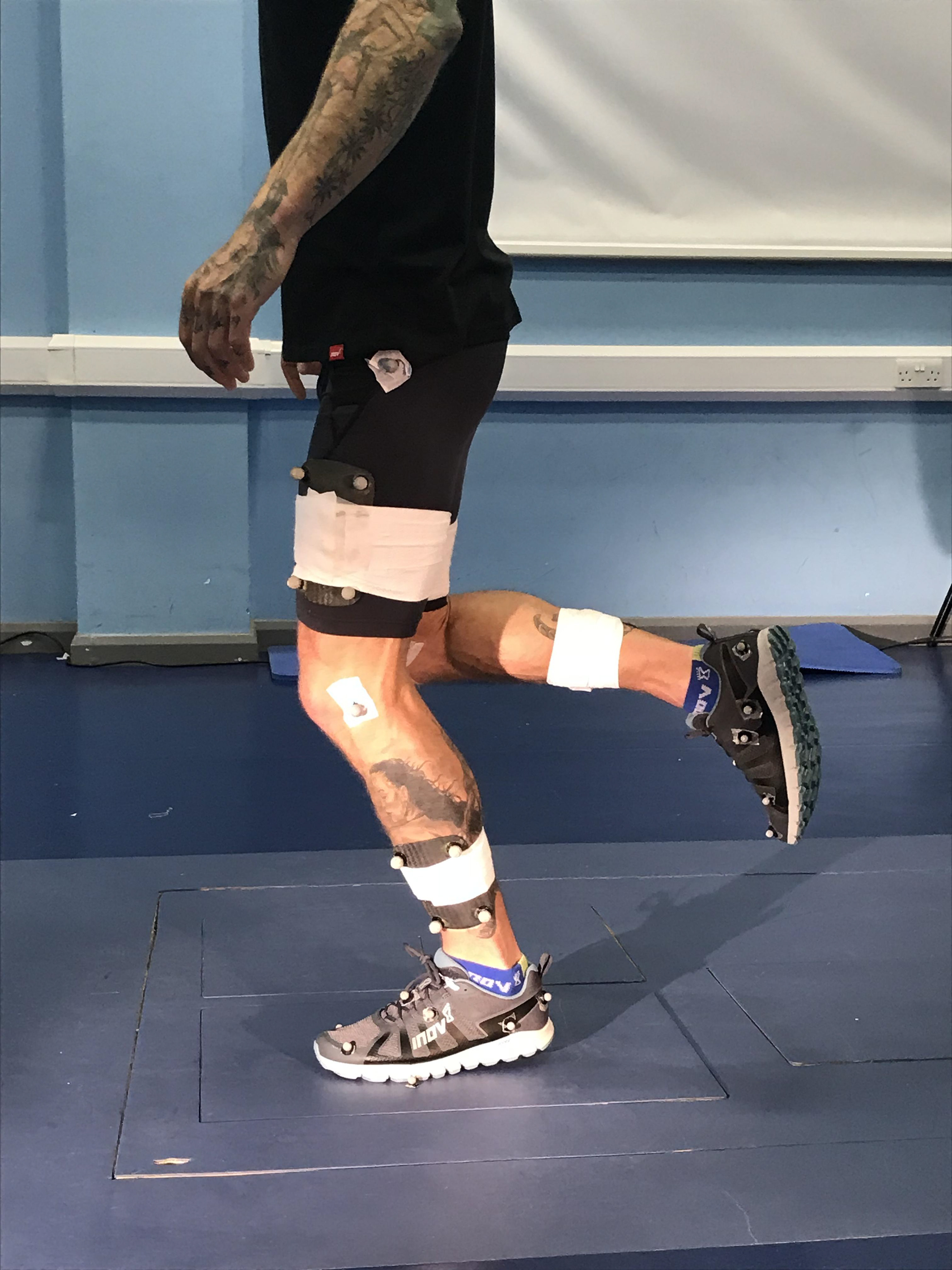 shoes，Terra Ultra G，sneakers，Outdoor shoes，