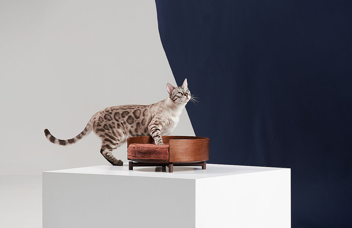 Three poles series，Cat Tower，Pet Supplies & Pet，Cat climbing frame，