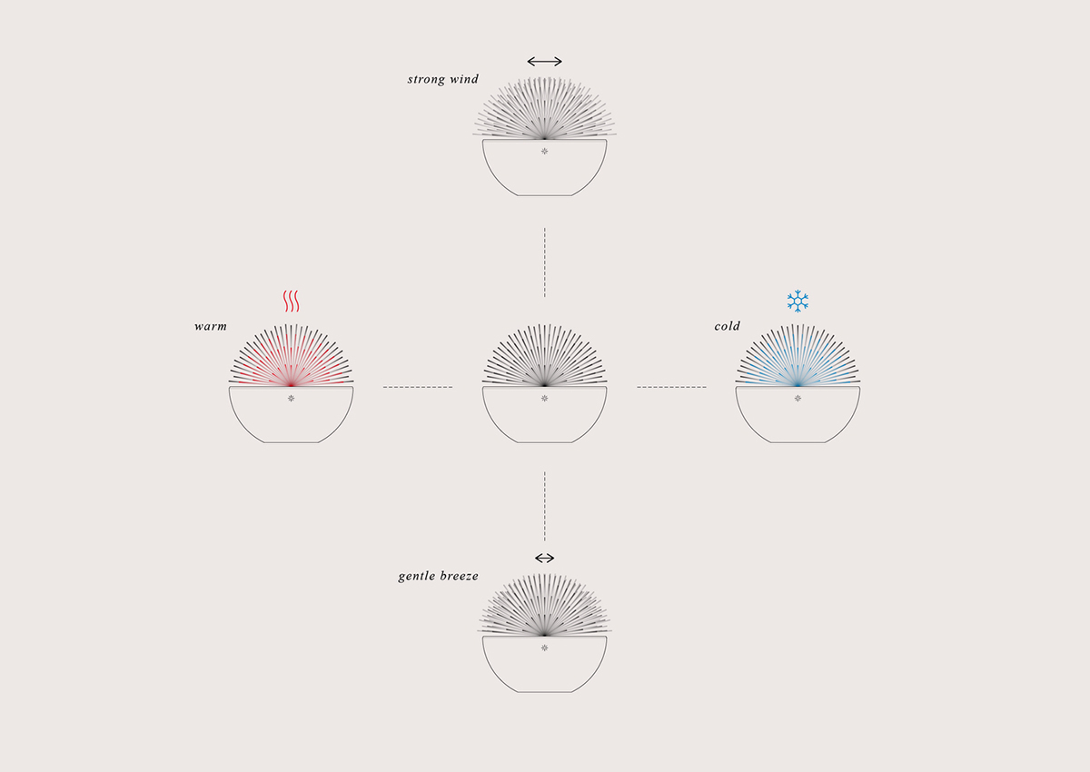 decorate，specimen，crystal，