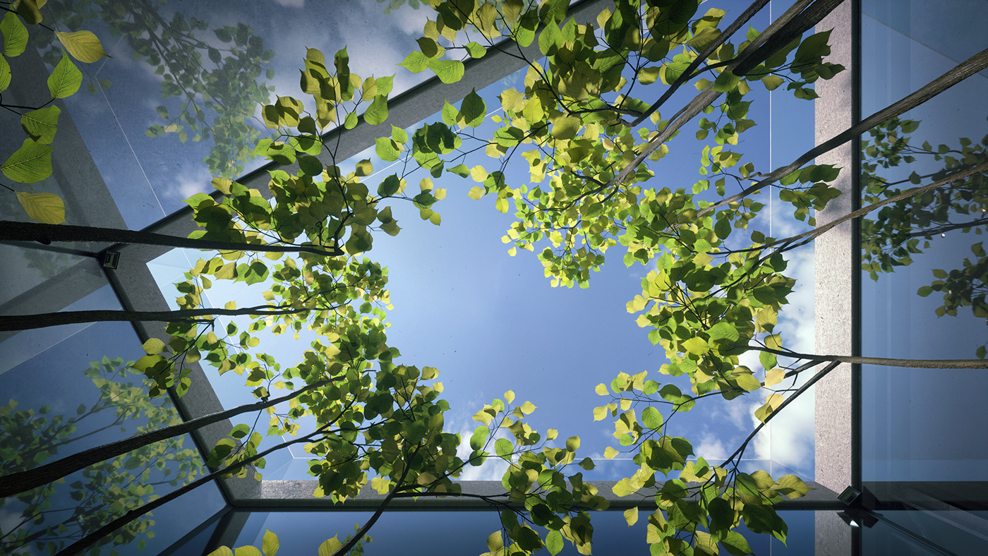 residence，house，_，