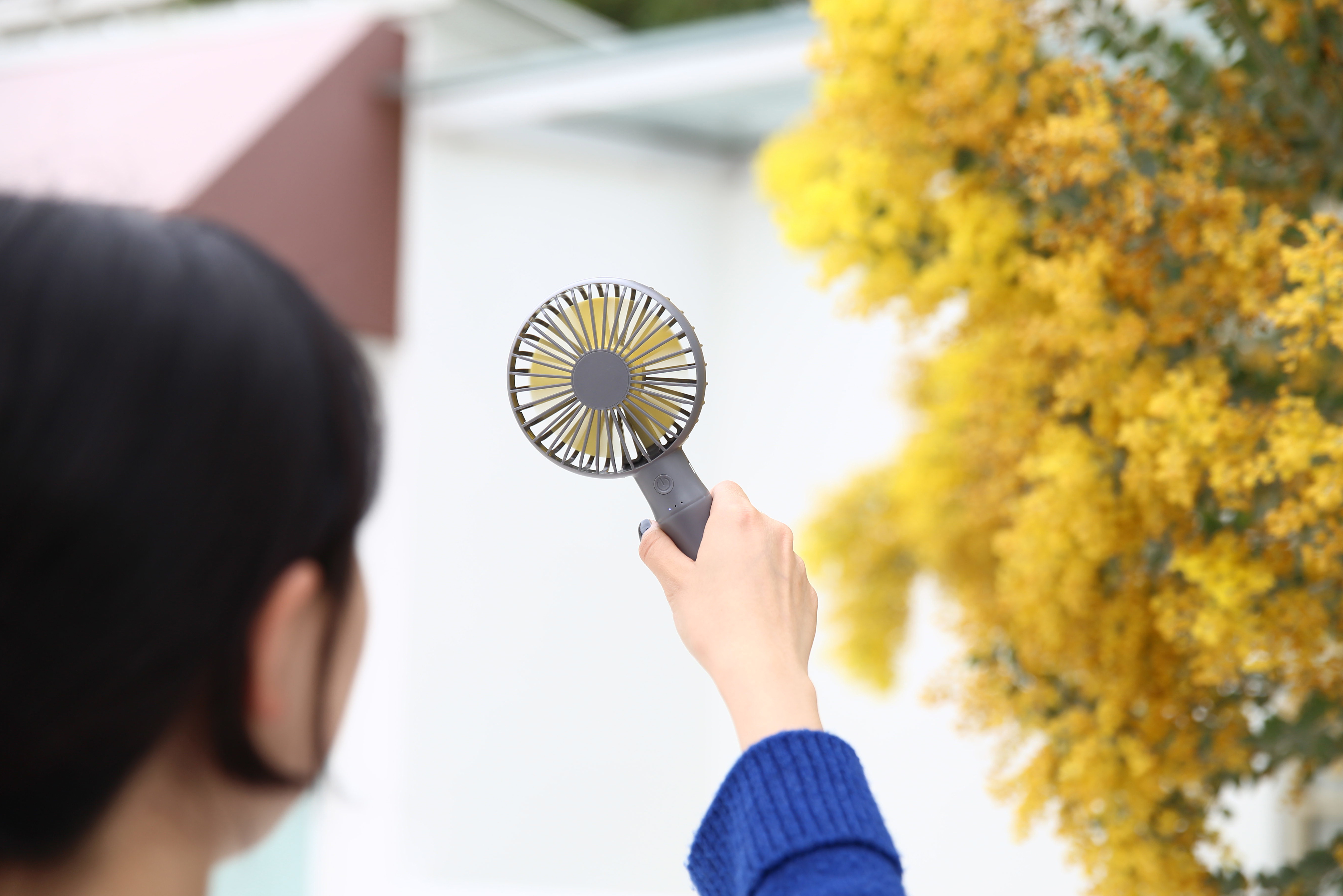 original，Bamboo，Small fan，fan，