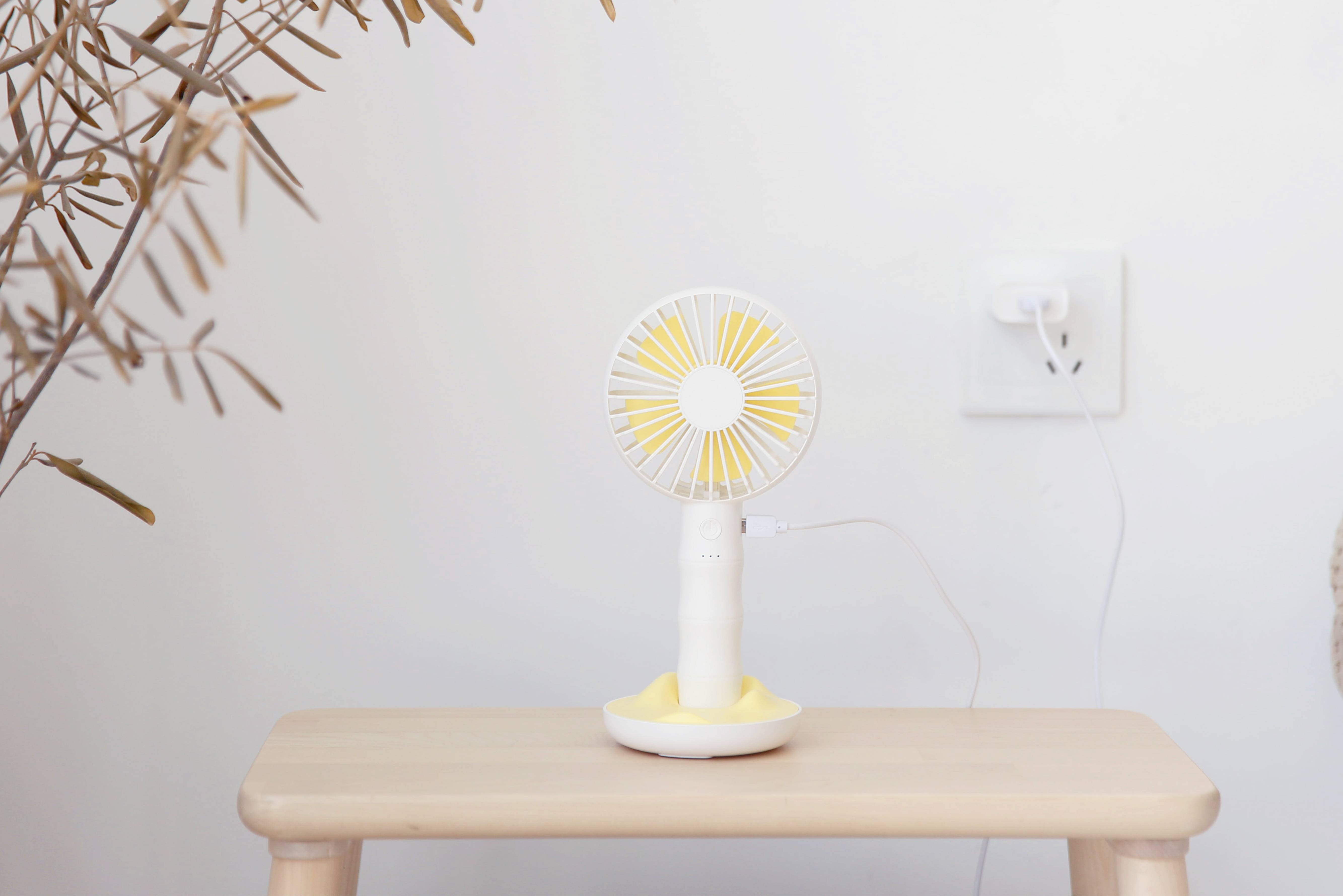 original，Bamboo，Small fan，fan，