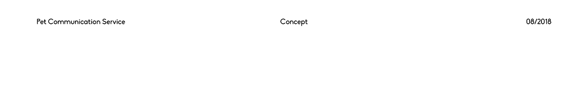 pingpong，Pet communication service，intelligence，product design，