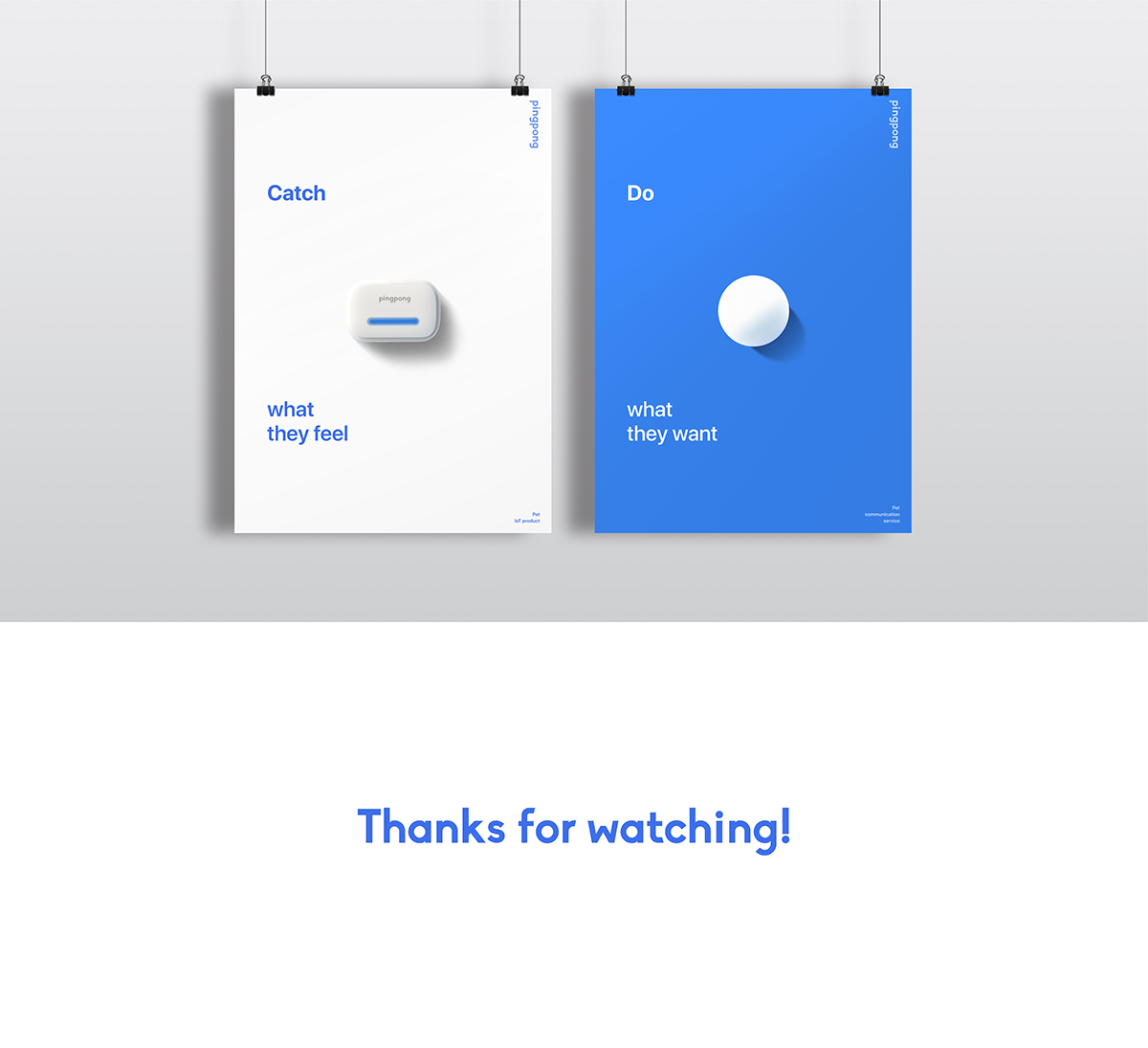 pingpong，Pet communication service，intelligence，product design，