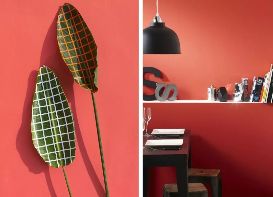 OPPO，colour，bright，Fiesta，green，