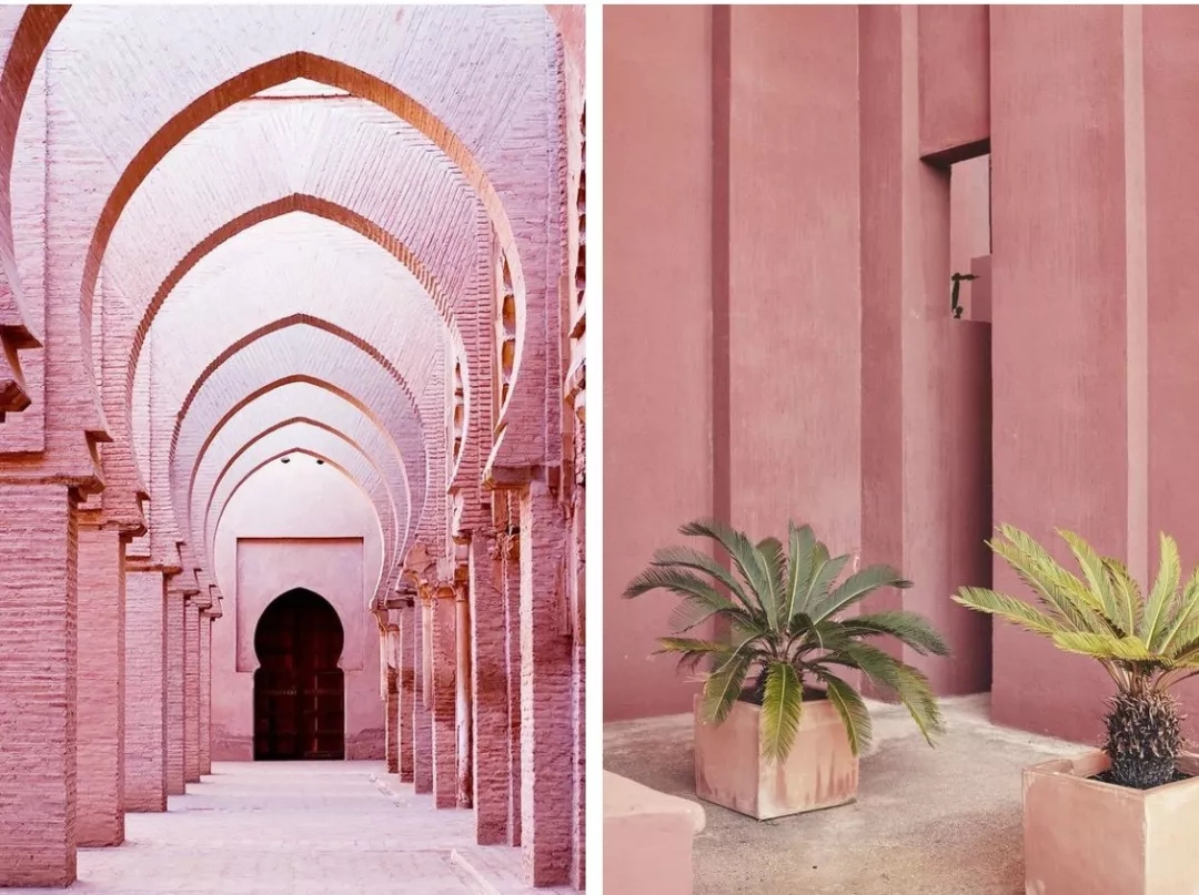 OPPO，colour，bright，Fiesta，green，