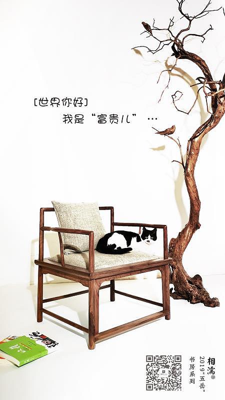 New Chinese style, light luxury, cute pet, solid wood，