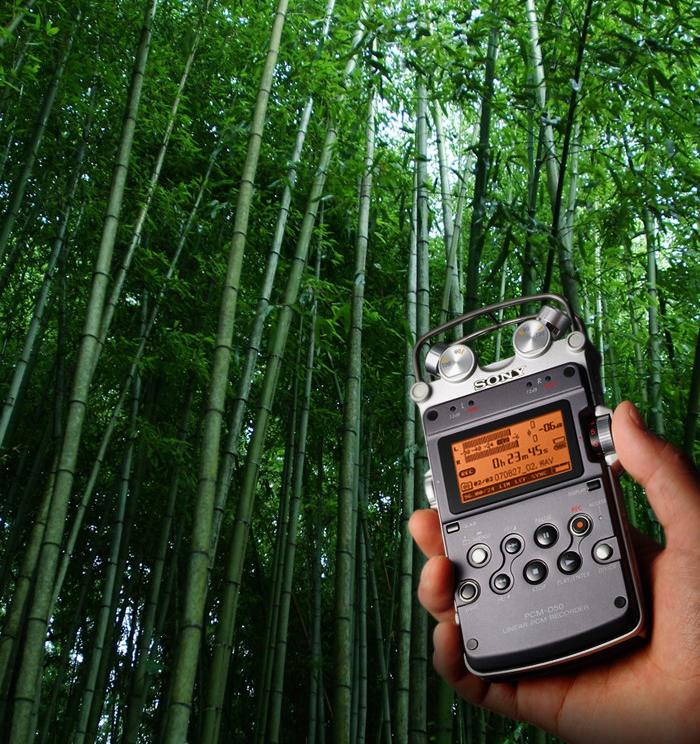 music，sound recording，equipment，Digital，science and technology，