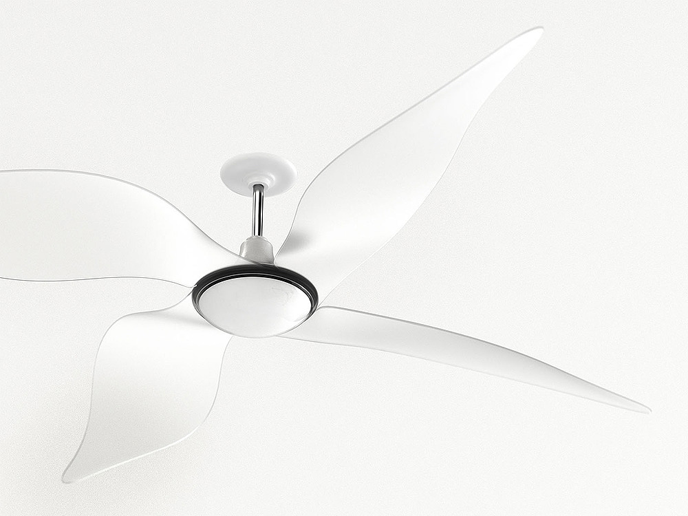 Fan，flower，