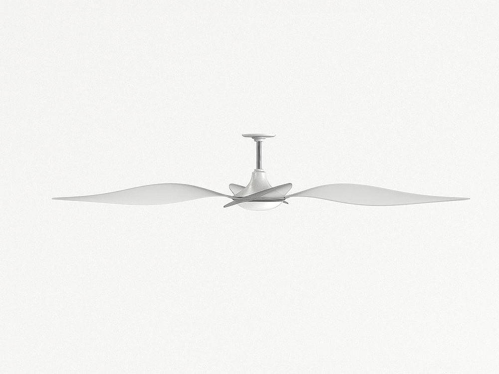 Fan，flower，