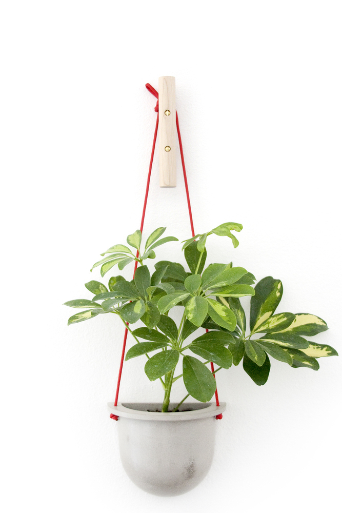Flowerpot，concrete，suspension，multi-function，Housewear & Furnishings，