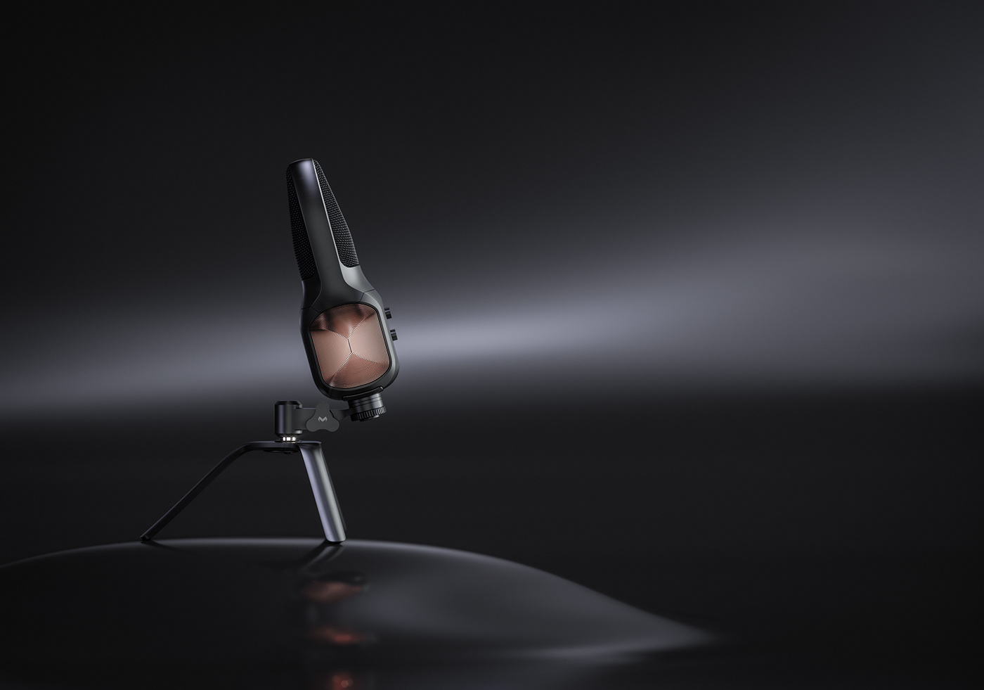 Microphone，Magnus Skogsfjord，echo，