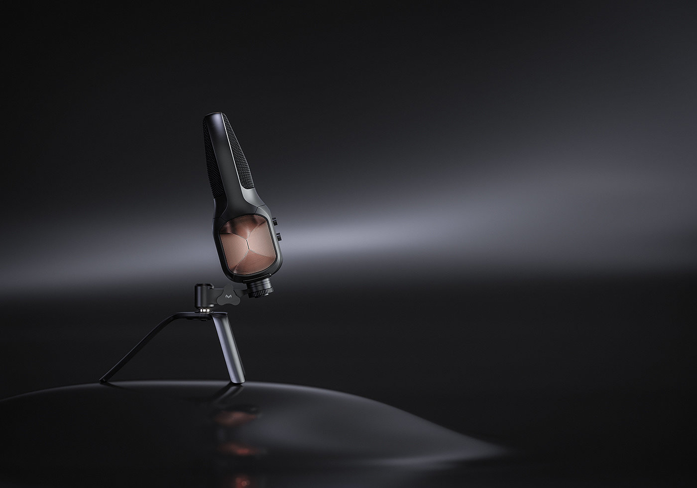 Microphone，Magnus Skogsfjord，echo，