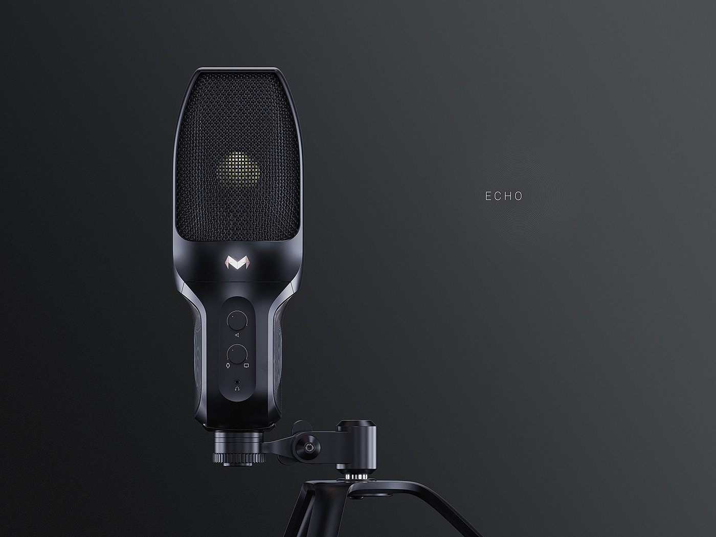 Microphone，Magnus Skogsfjord，echo，