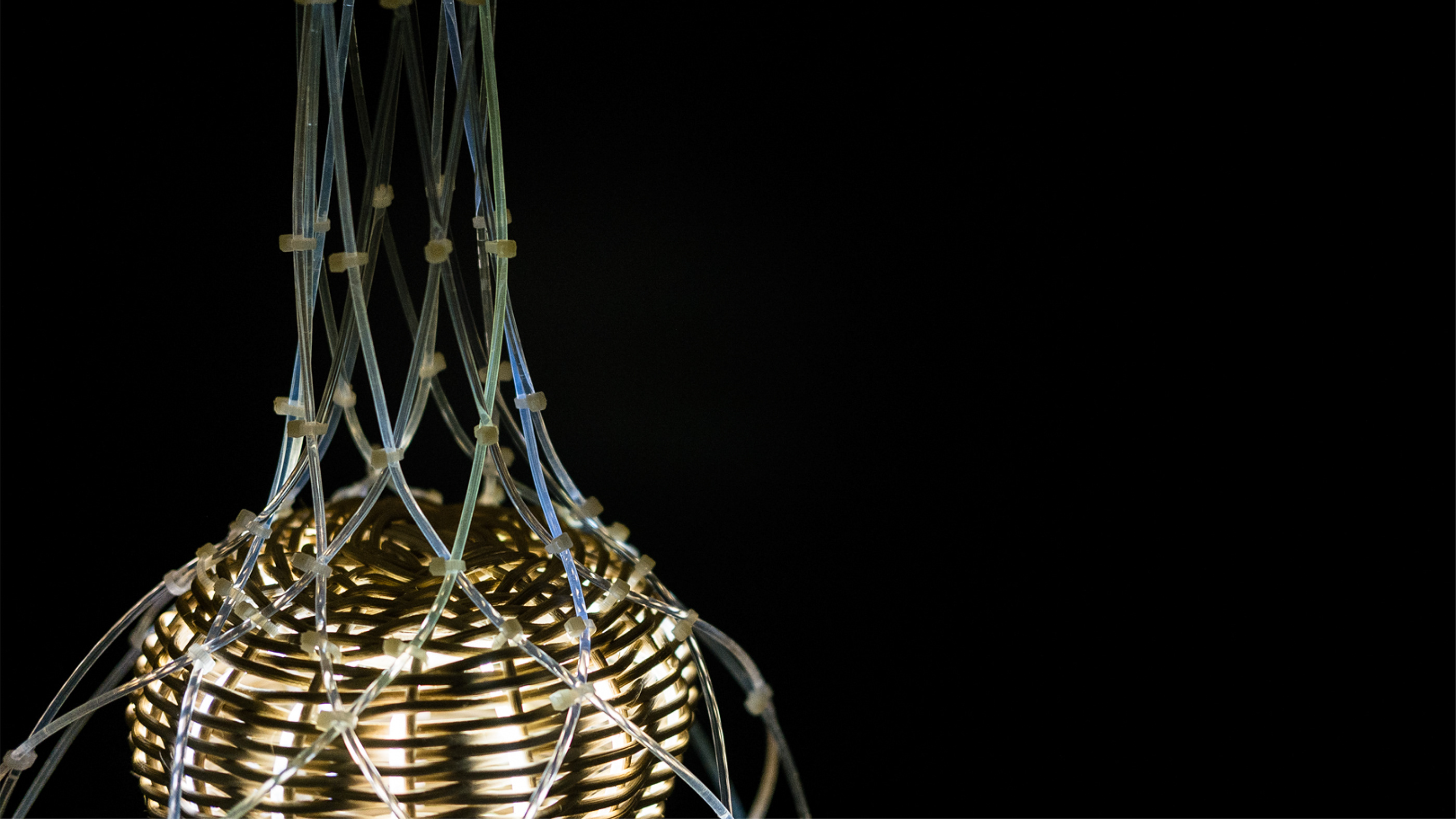 WV，moral，Life grows in death，a chandelier，