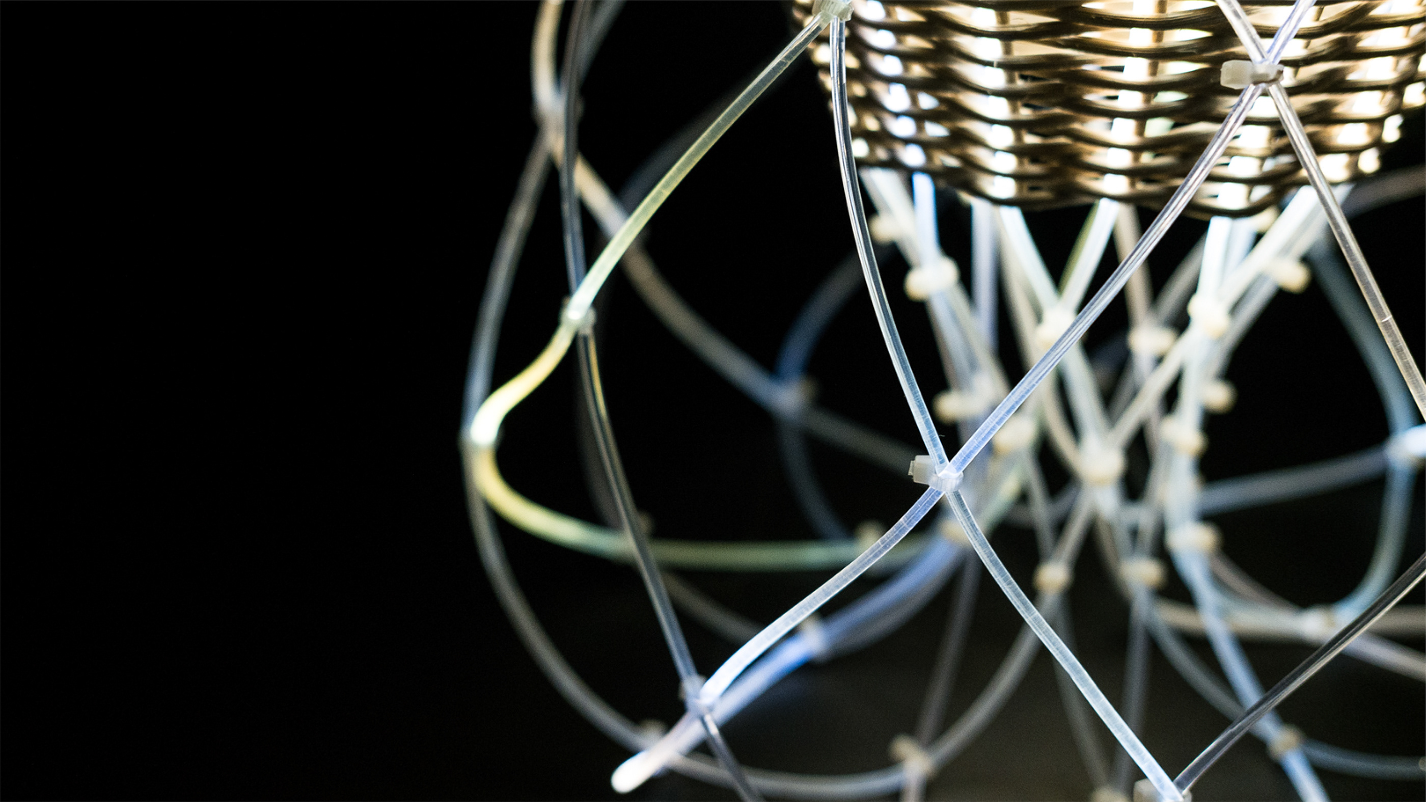 WV，moral，Life grows in death，a chandelier，