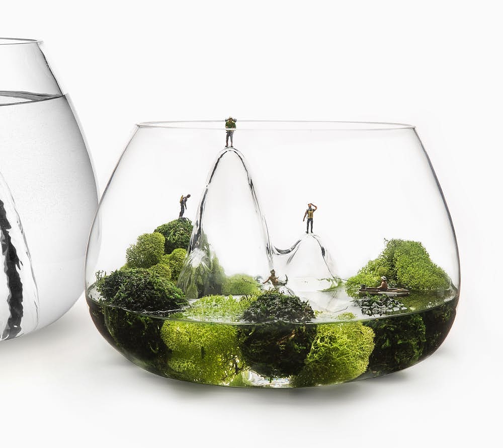 玻璃，鱼缸，Glasscape，