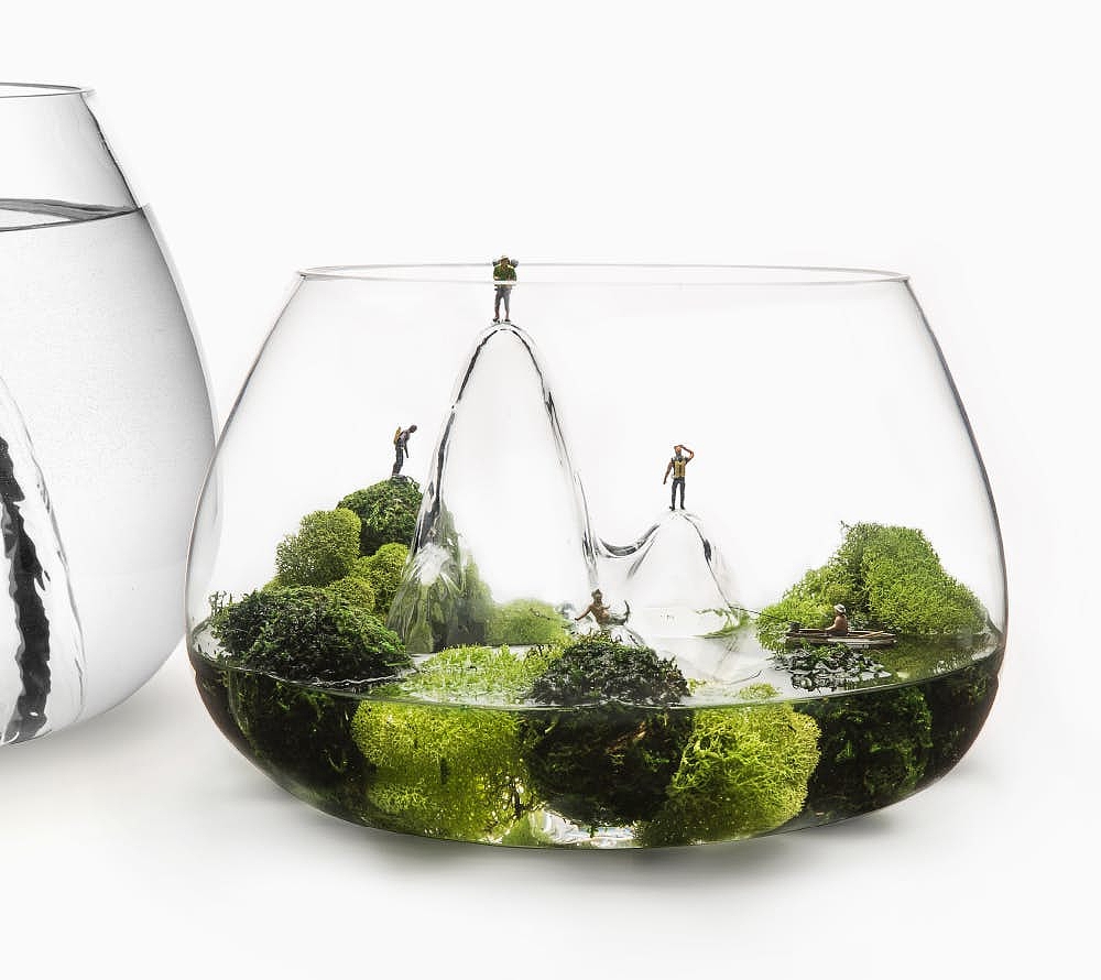 Glass，fish tank，Glasscape，
