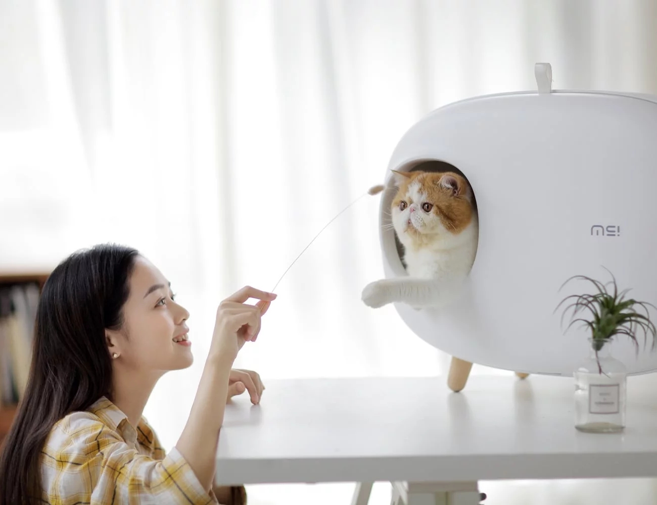 industrial design，product design，Litter Basin，Pet Supplies & Pet，