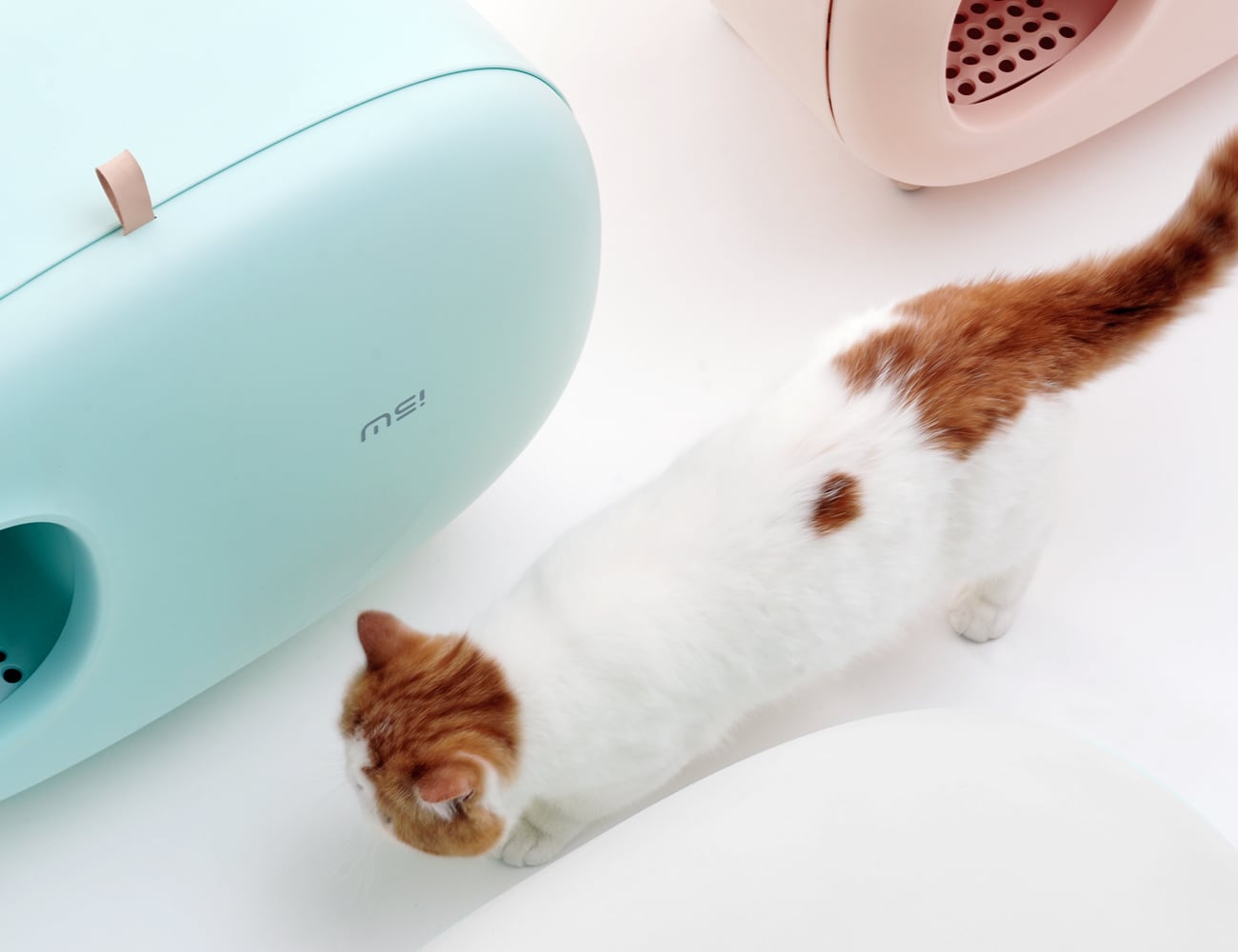 industrial design，product design，Litter Basin，Pet Supplies & Pet，