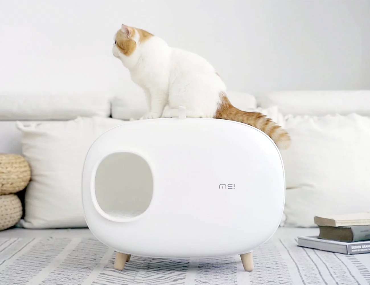 industrial design，product design，Litter Basin，Pet Supplies & Pet，