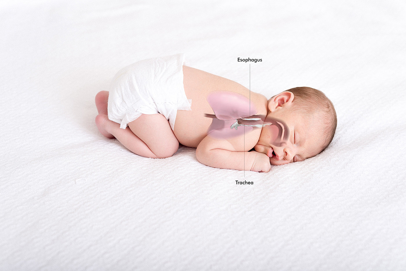 Maternal and infant products，intelligence，Digital，Cozy，