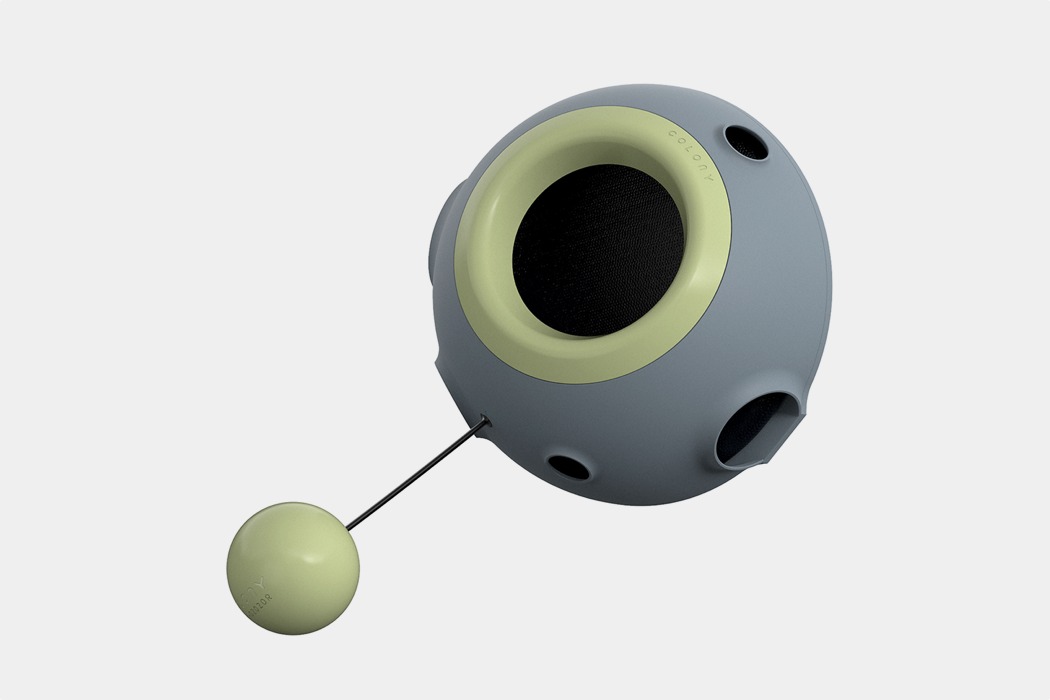 cattery ，COX - 01010R，star，nest，COLONY CAT HOME，Kitty，Pets，