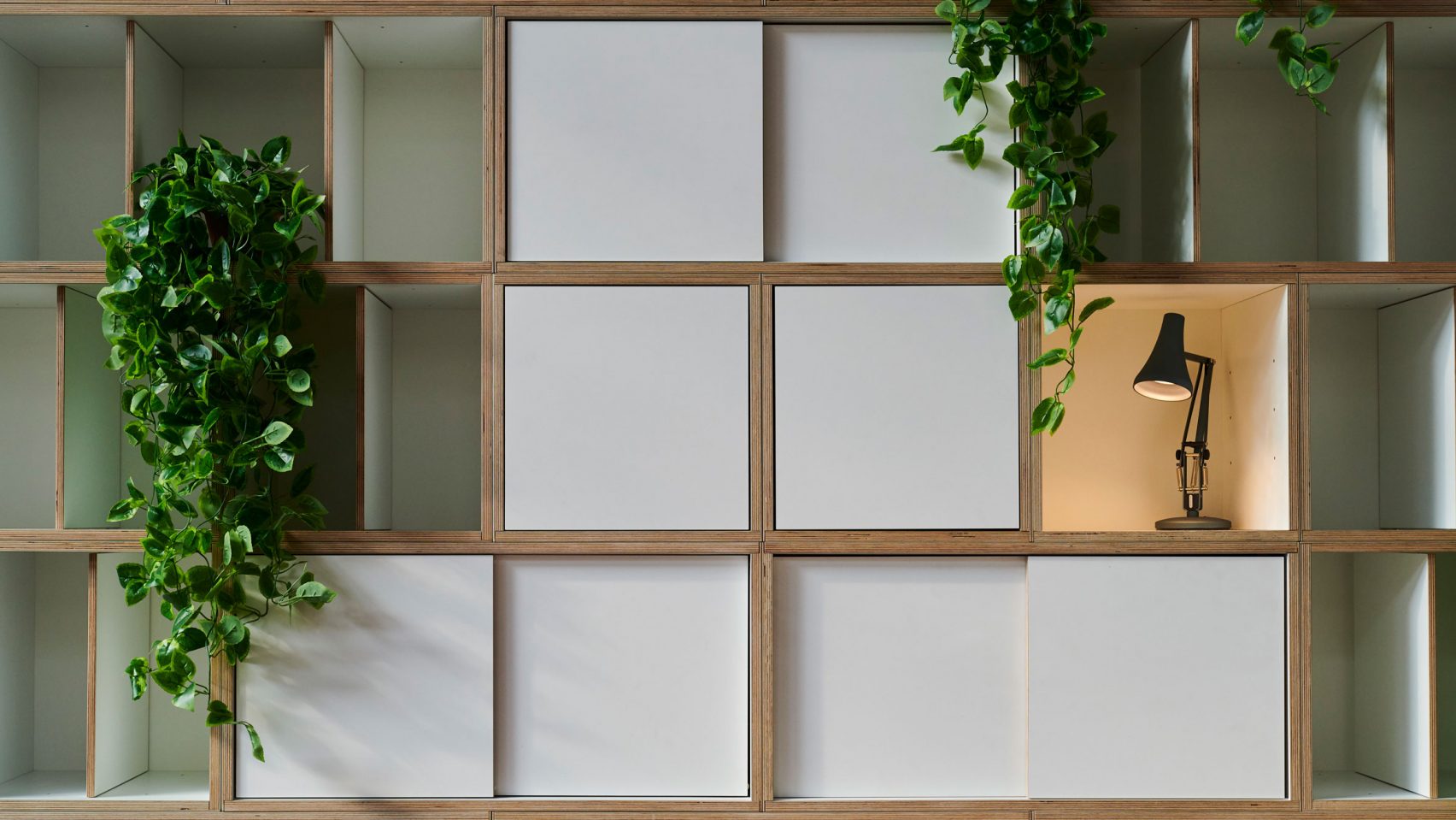 Bob，white，cabinet，Receive，